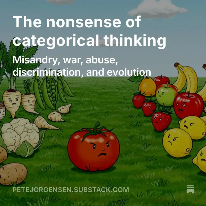 An image link to an article on categorical thinking.