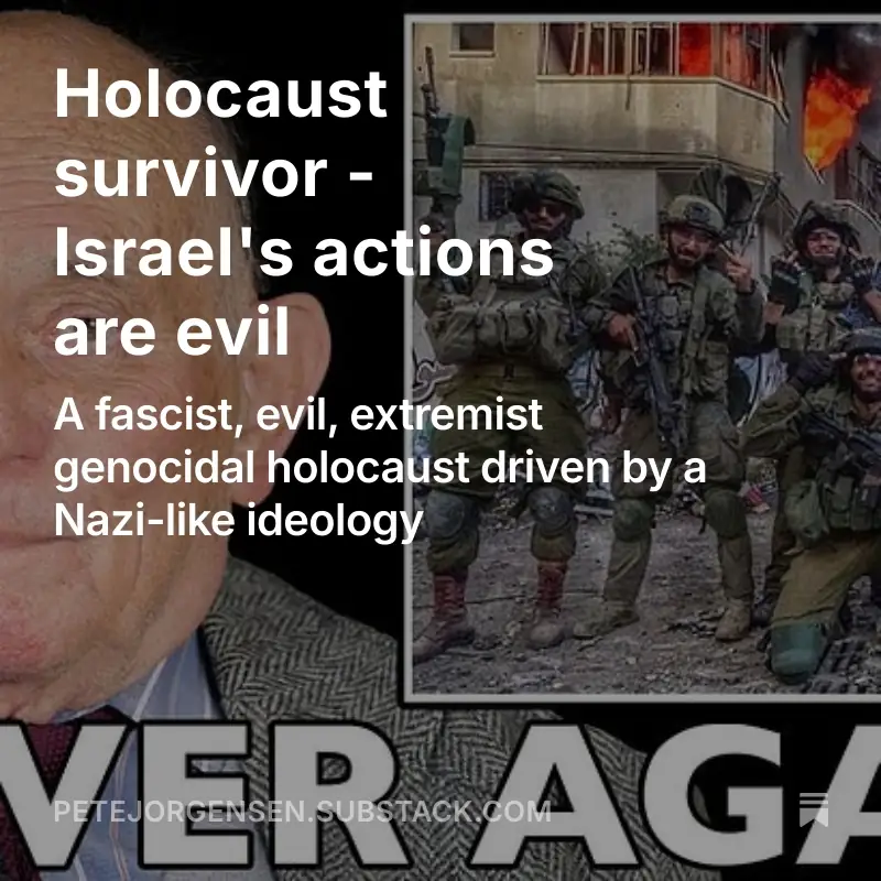 Half of the face of an elderly holocaust survivor, an inset photograph of Israeli soldiers standing before a burning building, giving the middle finger